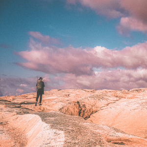 夜夜爽8888免费视频
