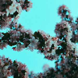 夜夜爽8888免费视频
