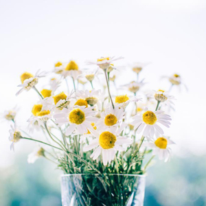 夜夜爽8888免费视频
